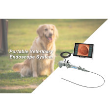 Εύκαμπτο Φορητό Επεμβατικό Βιντεογαστροσκόπιο  (VET) για Μικρά Ζώα