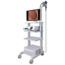 Κτηνιατρικό Γαστροσκόπιο